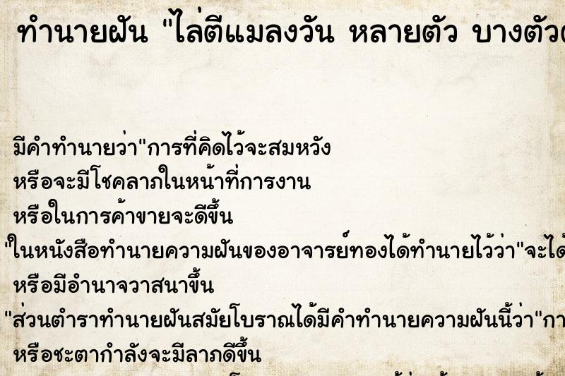 ทำนายฝัน ไล่ตีแมลงวัน หลายตัว บางตัวตาย บางตัวรอด ทำนายฝัน ไล่ตีแมลงวัน หลายตัว บางตัวตาย บางตัวรอด